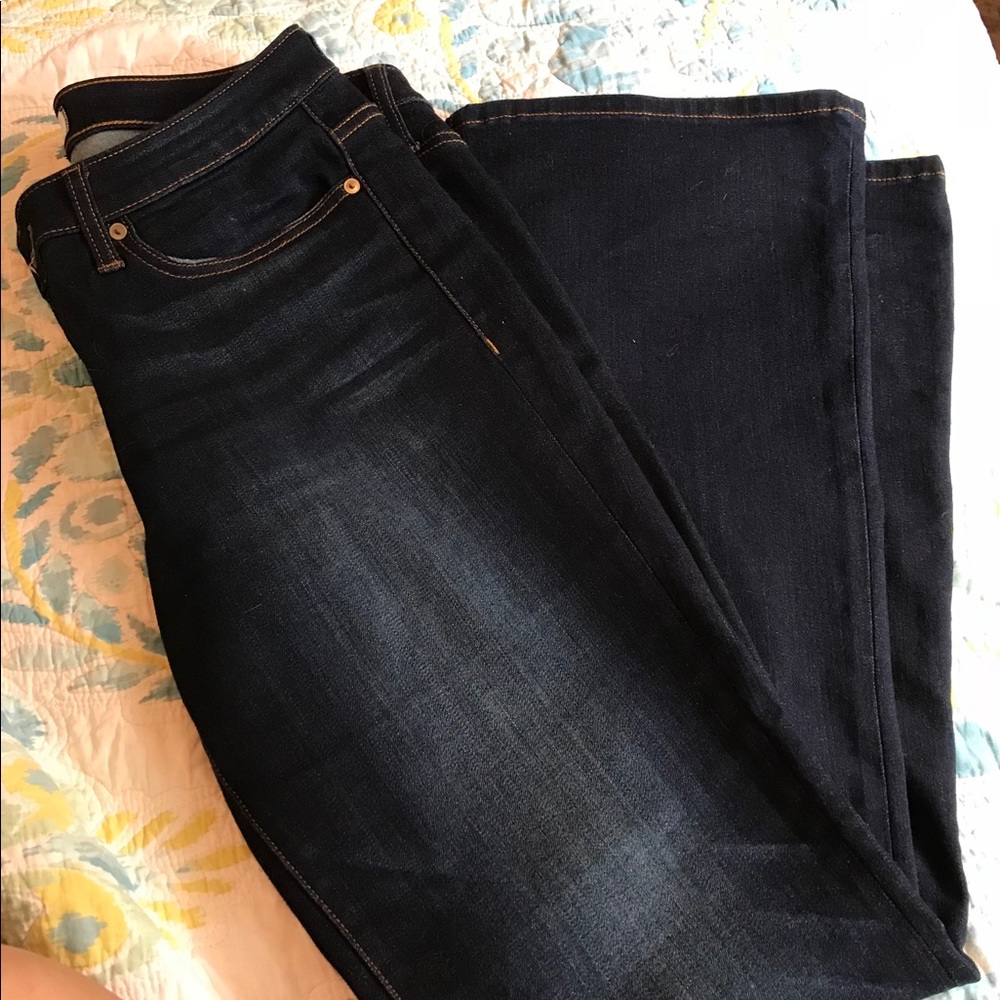 BNWOT LILA RYAN FLARE DARK DENIM